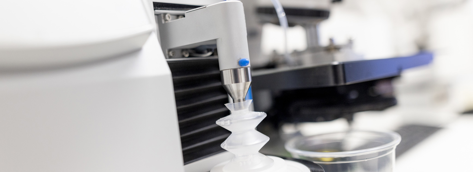 Ornestationmors Web 6393