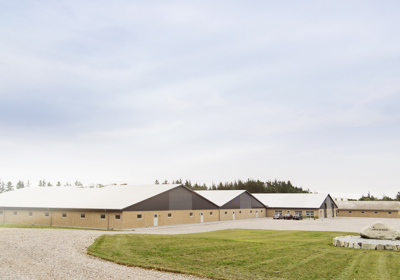 Storestrand Opformering