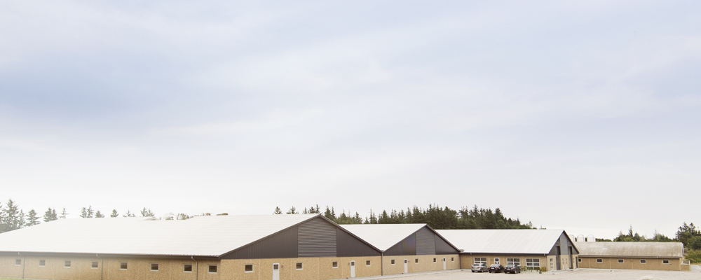 Storestrand Opformering