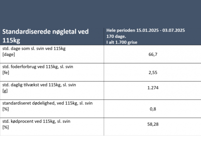 Dg New Article Nicolai 2 New