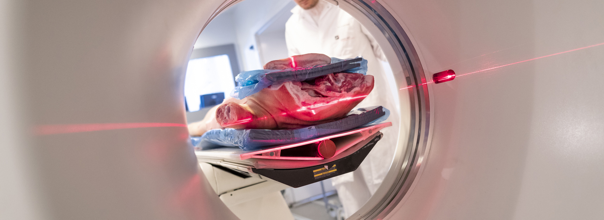 Danishgenetics 9123 Web