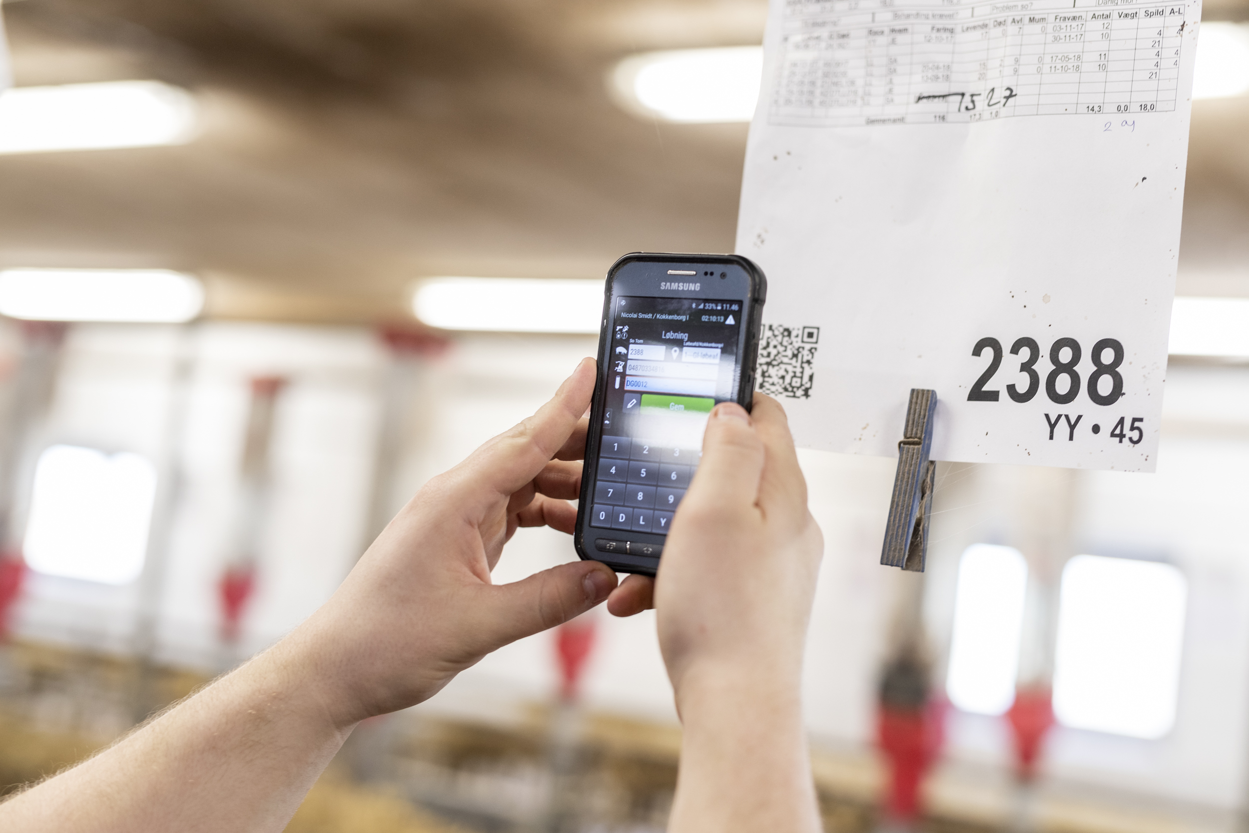 Dg Kokkenborg 1188 Web