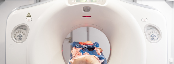 Danishgenetics 9048 Web