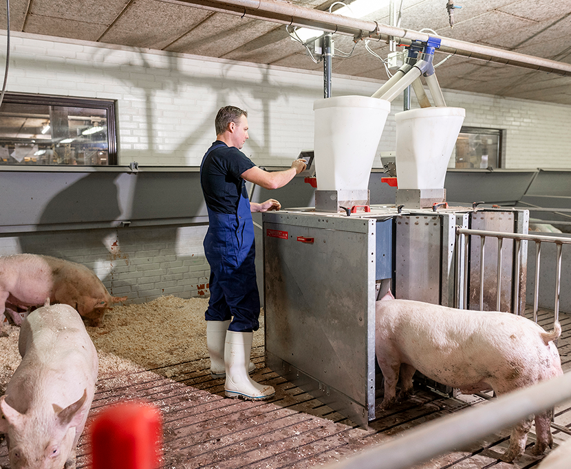 Edit Dg 7065 Edit V2 (1)