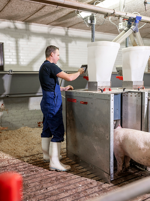 Edit Dg 7065 Edit V2 (1)