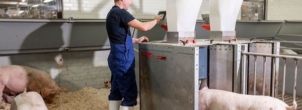 Danishgenetics 6380 1 WEB 2