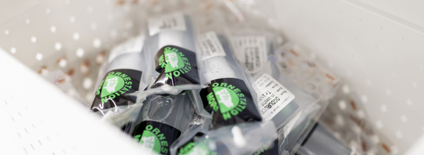 Ornestationmors Web 6480