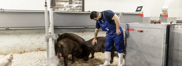 Danishgenetics 6703 1 WEB