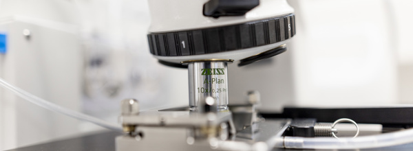 Ornestationmors Web 6341