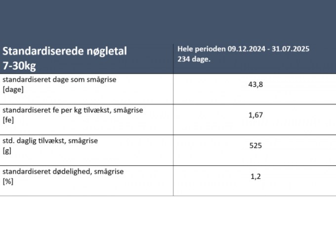 Dg New Article Nicolai 1 New