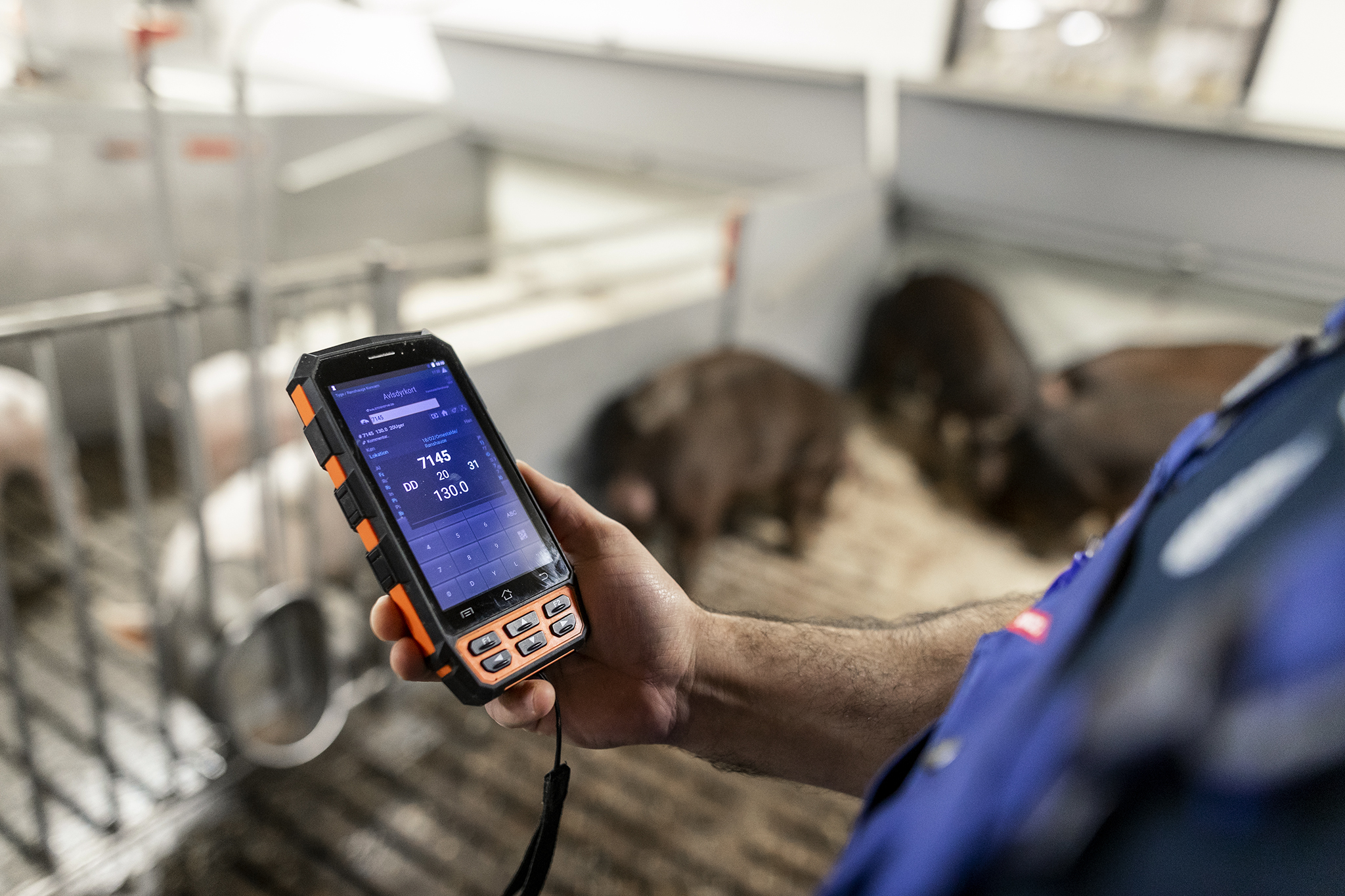 Danishgenetics 6783 1 WEB