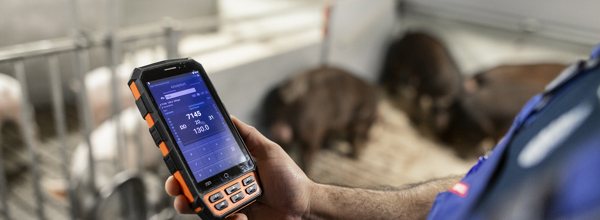 Danishgenetics 6783 1 WEB