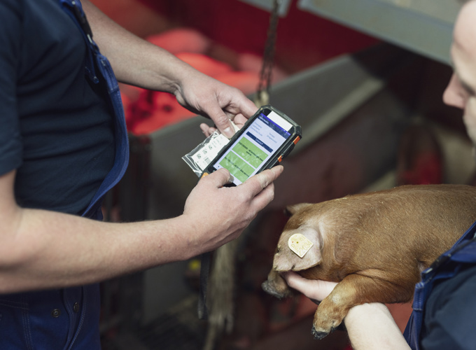 Dg 7345 Edit V2 Web (1)