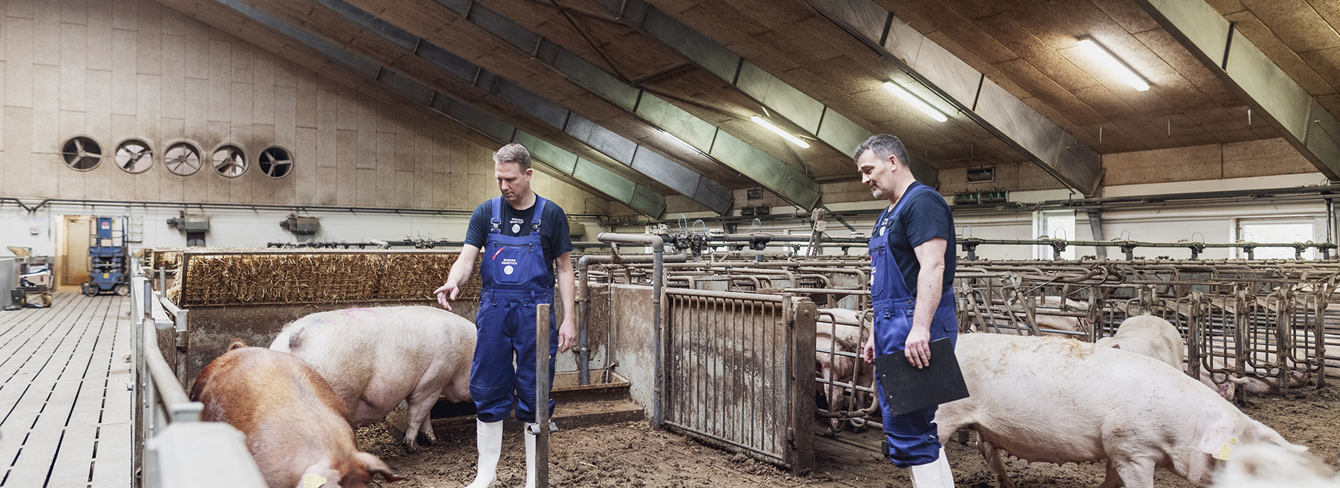 Dg 6314 Edit V2 Web (1)