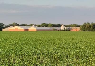 290053020 760418025153588 1787110545719941666 N