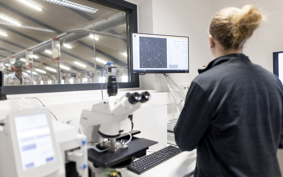 Ornestationmors 6407 Web